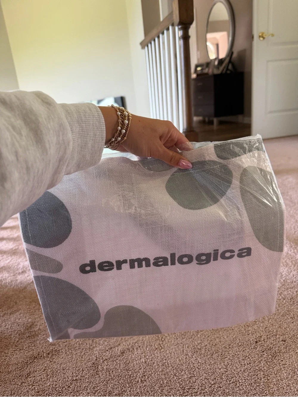 dermalogica NWT limited edition canvas bag